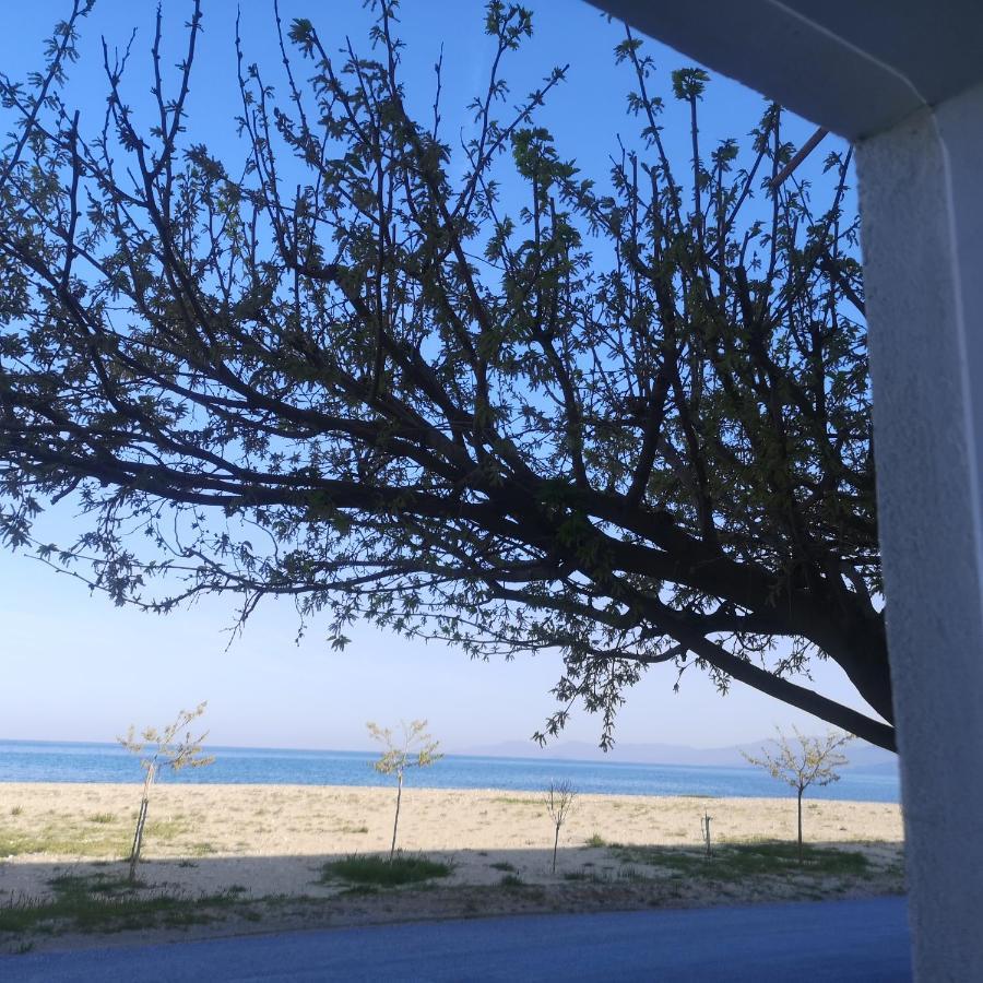 Greece Asprovalta Rooms Accomodation Apartment Hotel Petalo 外观 照片