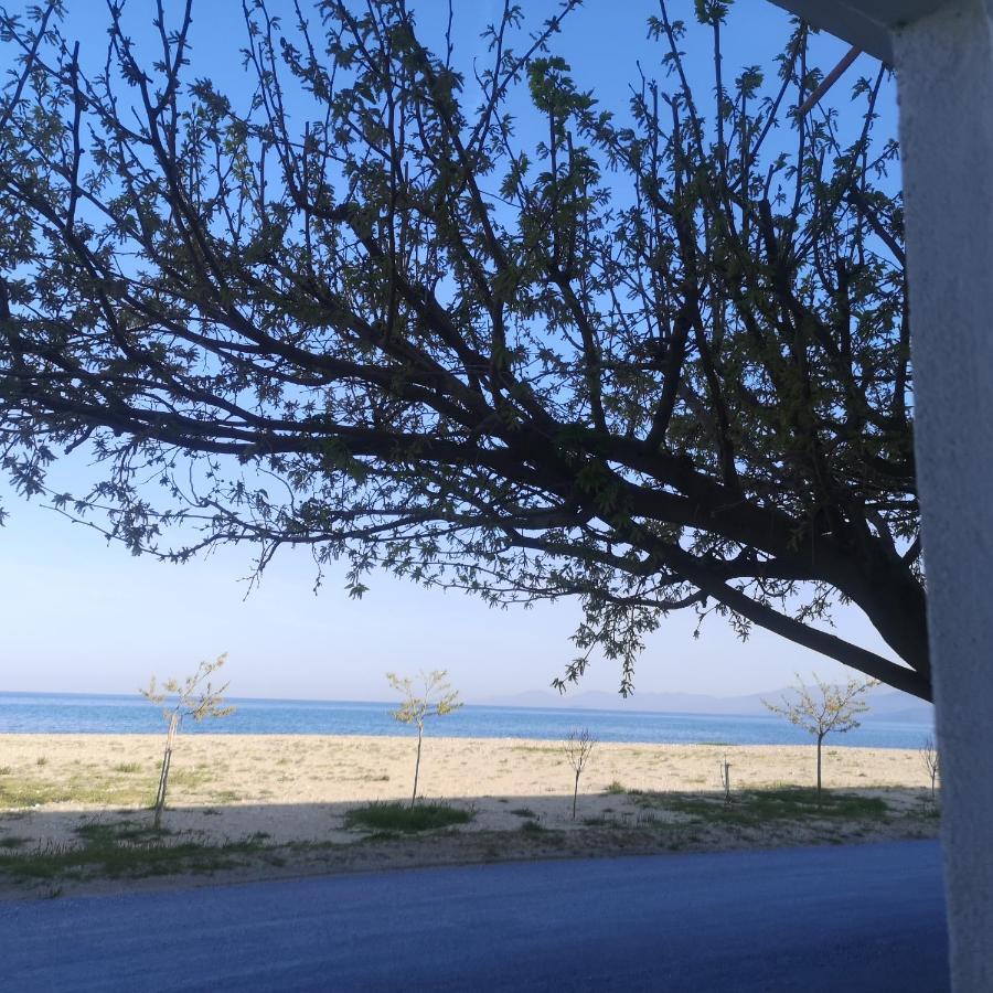Greece Asprovalta Rooms Accomodation Apartment Hotel Petalo 外观 照片